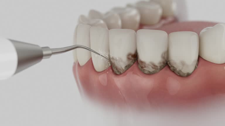 Reliable Dental contractor in Lake Winnebago, MO by Dentist Open Now